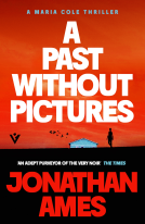 book cover for A Past Without Pictures