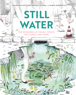 book cover for Still Water