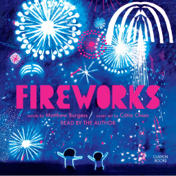 book cover for Fireworks