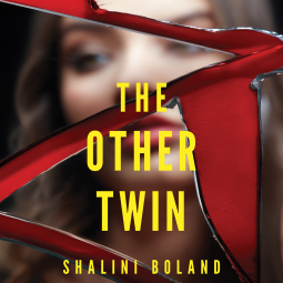 book cover for The Other Twin