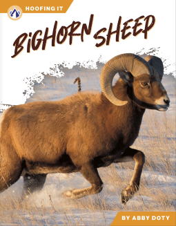 book cover for Bighorn Sheep
