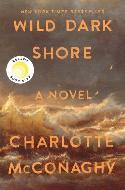 book cover for Wild Dark Shore