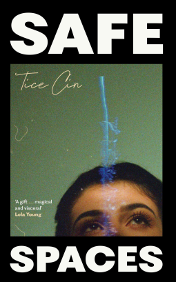 book cover for Safe Spaces
