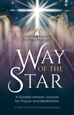 book cover for Way of the Star