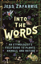 book cover for Into the Words