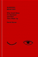 book cover for Sleeping Beauties