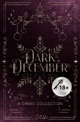 Buchcover für Dark December