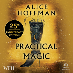 book cover for Practical Magic