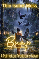 book cover for Bump