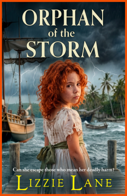 book cover for Orphan of the Storm