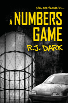 book cover for A Numbers Game