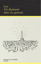 Couverture du livre pour Un diamant dans les gravats