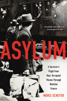 book cover for Asylum