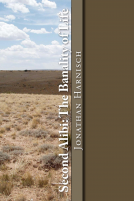 book cover for Second Alibi