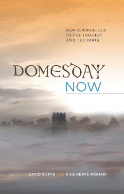 book cover for Domesday Now