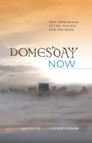 book cover for Domesday Now