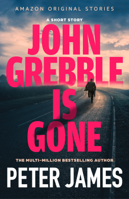 book cover for John Grebble Is Gone