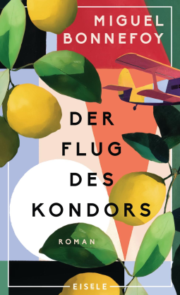 Buchcover für Der Flug des Kondors