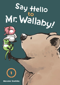 book cover for Say Hello to Mr. Wallaby! 1
