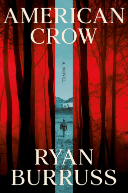 book cover for American Crow