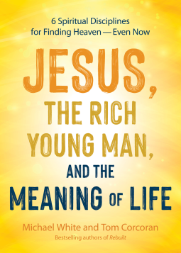book cover for Jesus, the Rich Young Man, and the Meaning of Life