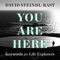 book cover for You Are Here