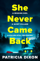 book cover for She Never Came Back