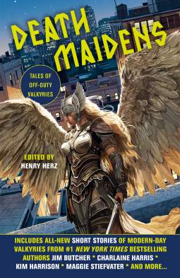 book cover for Death Maidens