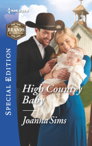 book cover for High Country Baby
