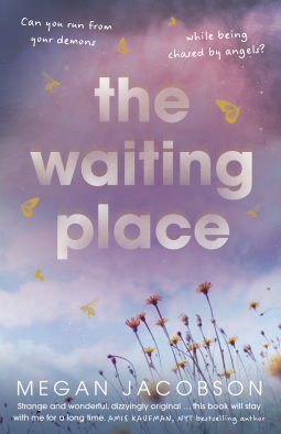 book cover for The Waiting Place