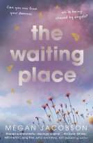 book cover for The Waiting Place