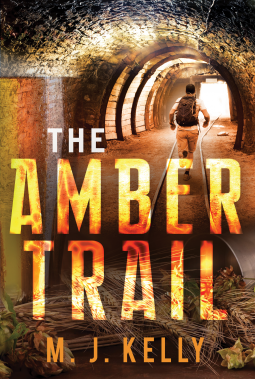 book cover for The Amber Trail