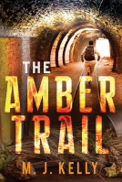 book cover for The Amber Trail