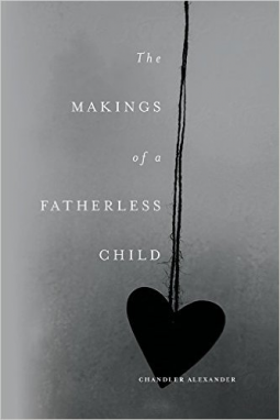 book cover for The Makings of a Fatherless Child