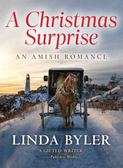 book cover for A Christmas Surprise