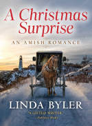 book cover for A Christmas Surprise