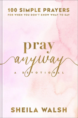 book cover for Pray Anyway