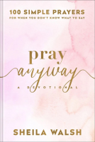 book cover for Pray Anyway