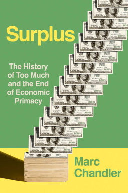 book cover for Surplus