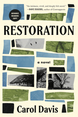 book cover for Restoration