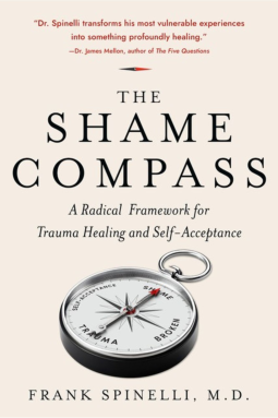 book cover for The Shame Compass