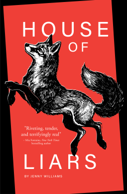 book cover for House of Liars