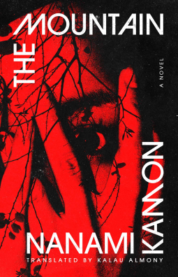 book cover for The Mountain