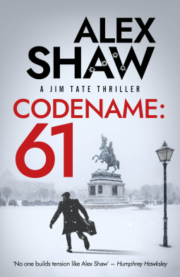 book cover for Codename: 61