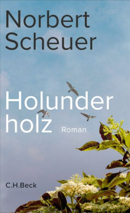 Buchcover für Holunderholz