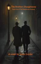 book cover for The Brothers Shaughnessy
