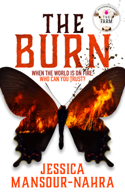 book cover for The Burn