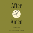 book cover for After Amen