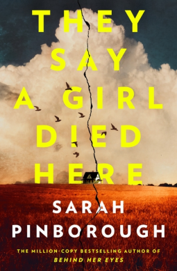 book cover for They Say a Girl Died Here