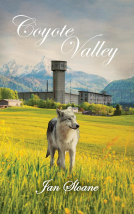 book cover for Coyote Valley